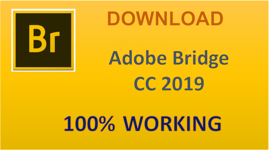 Adobe Bridge 2019: Hướng dẫn cài đặt miễn phí
