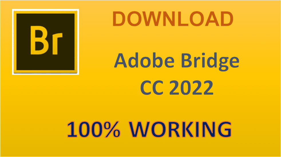 Download Adobe Bridge 2022 Full